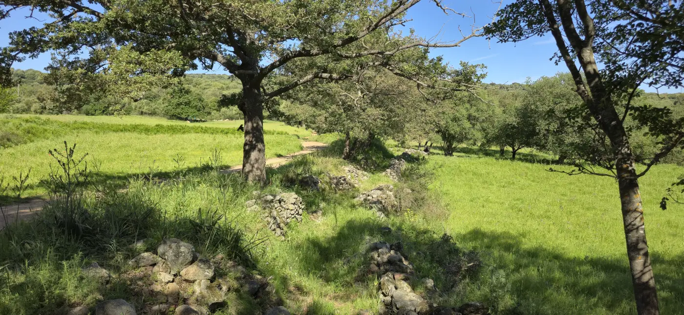 San Bastianu 3