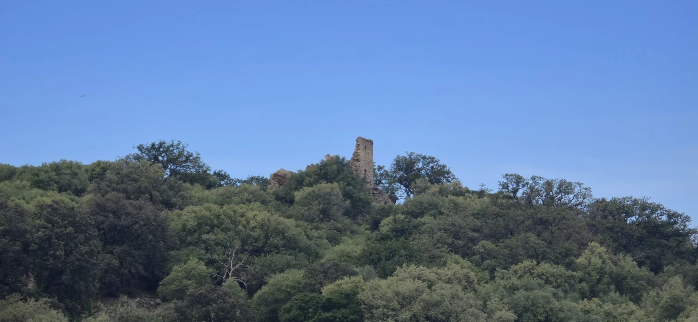 Giustiniani 5