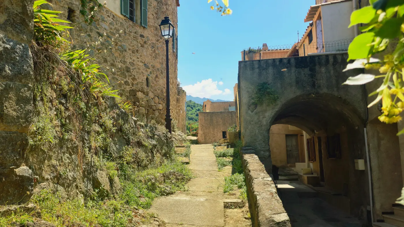 Plaine de Balagne 7