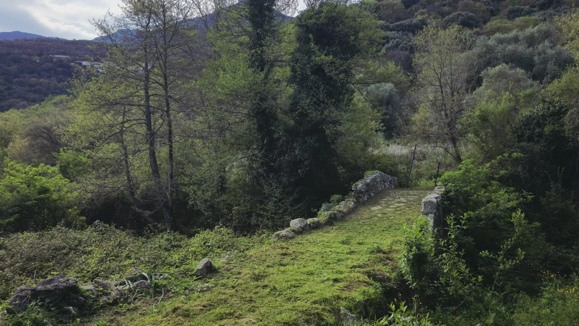 Plaine de Balagne 8