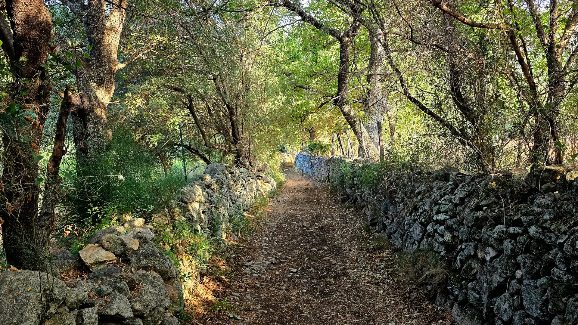Randonnée en Corse – Strada Balanina